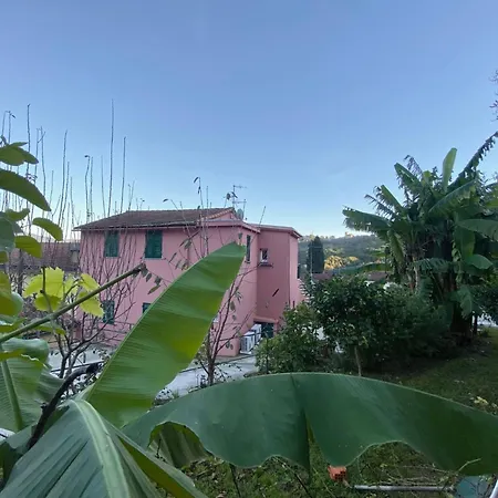 Apartamento Casa Rosa Tre- 45 Quadratmeter Und Parkplatz By Interhome *